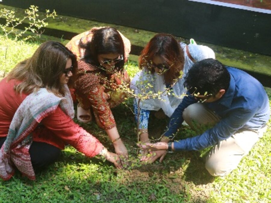 Tree plantation programme volunteers planting saplings