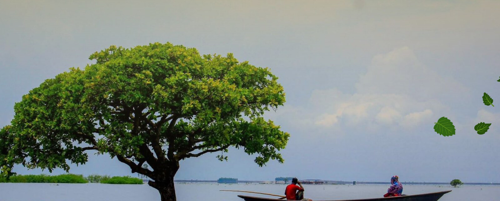 Haor landscape with a hijal tree and a country boat, Bangladesh wetlands